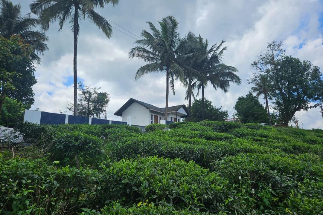Photo of Others in Kalpetta