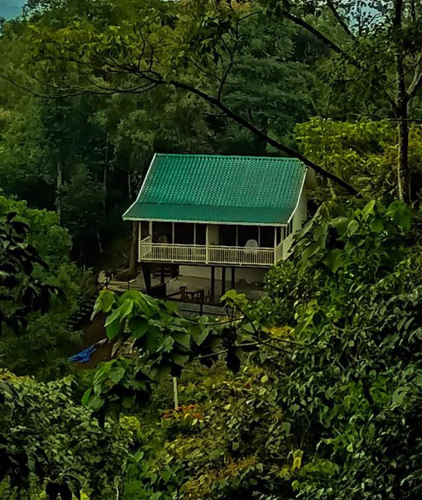 Photo of Others in Vellamunda