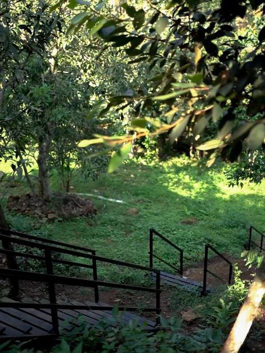 Photo of Others in Vellamunda