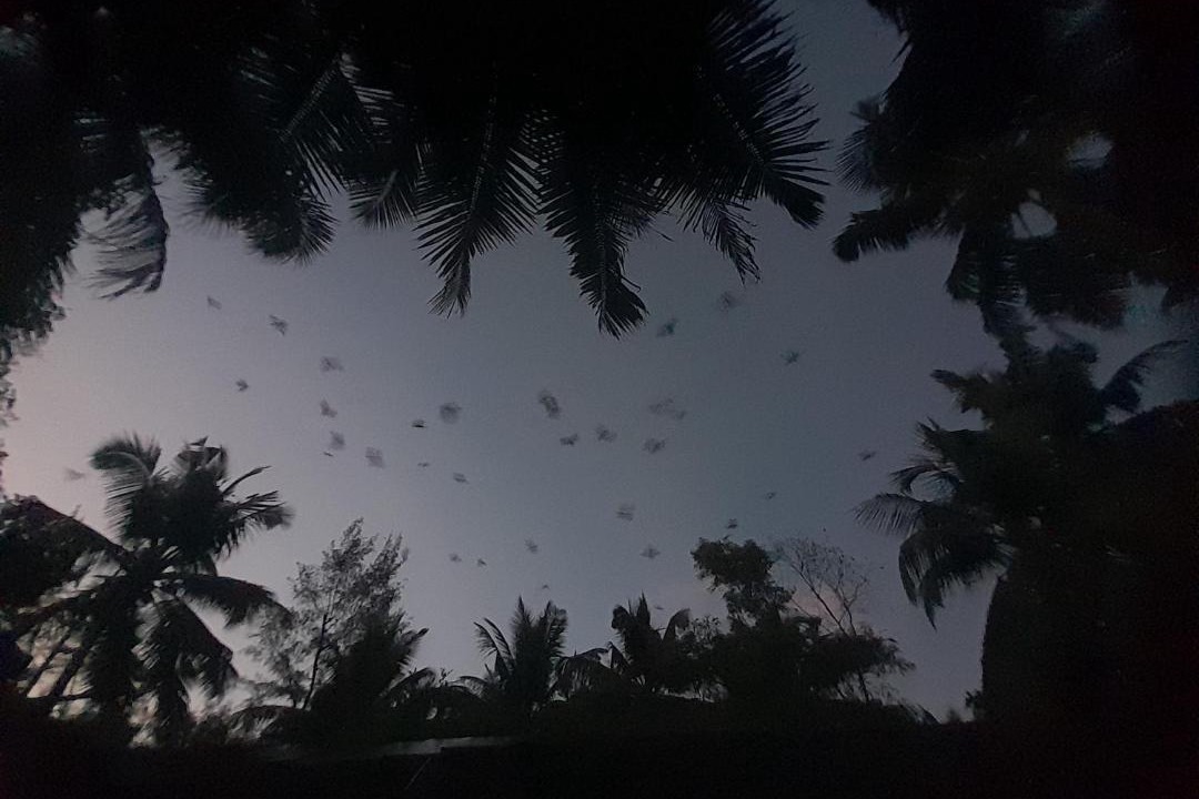 Photo of Others in Gokarna
