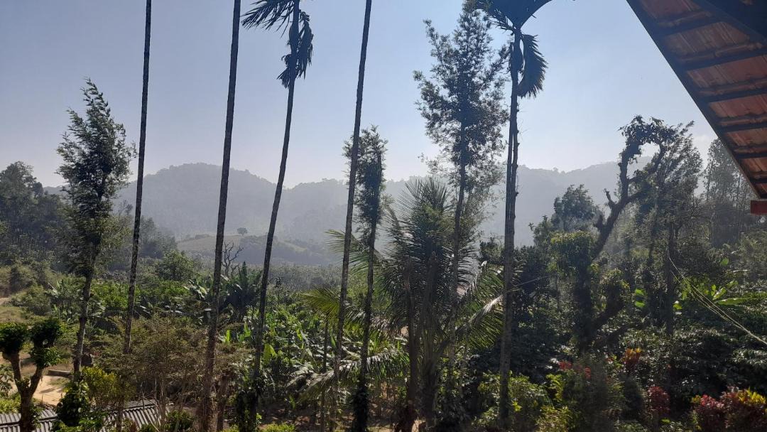 Photo of Others in Madikeri