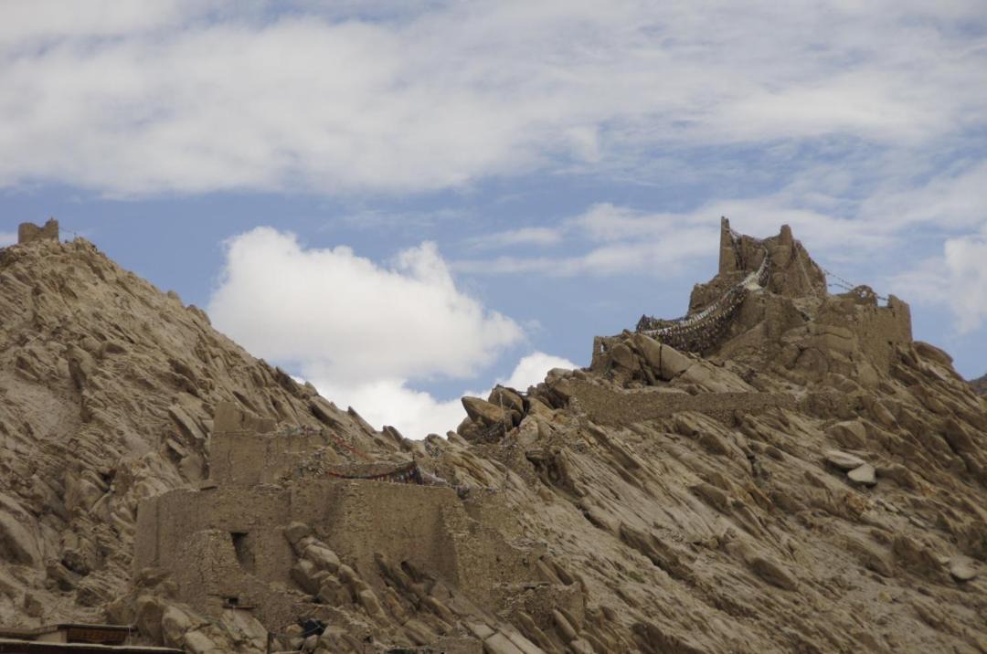 Photo of Others in Leh