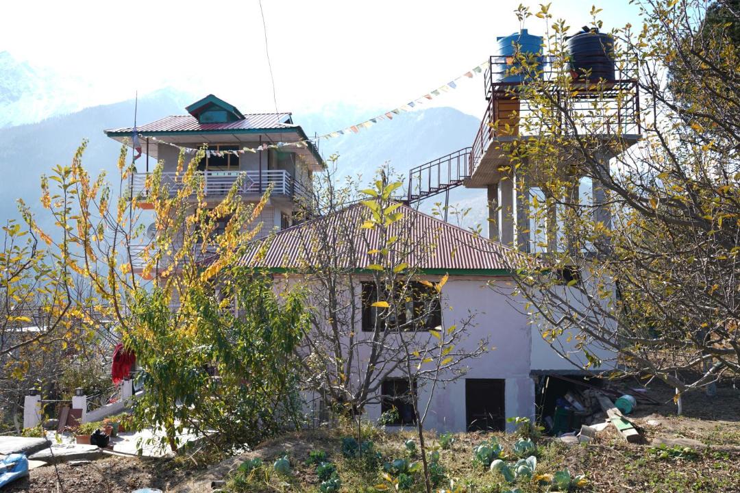 Photo of Others in Kalpa