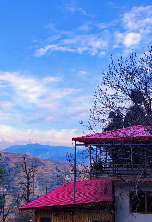 Photo of Others in Chakrata