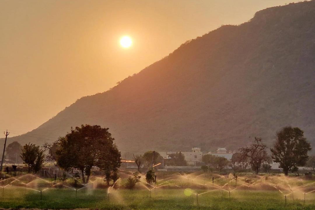 Photo of Others in Pushkar