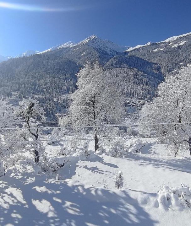 Photo of Others in Kullu