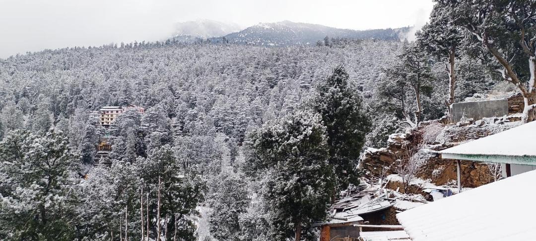 Photo of Others in Kalpa