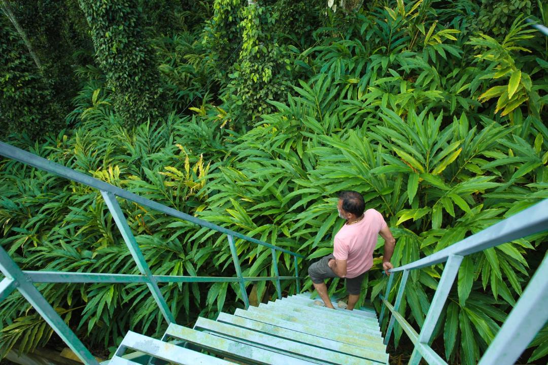 Photo of Others in Thekkady