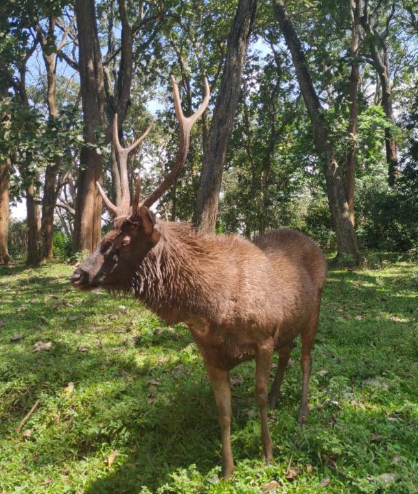 Photo of Outdoor in Kumily