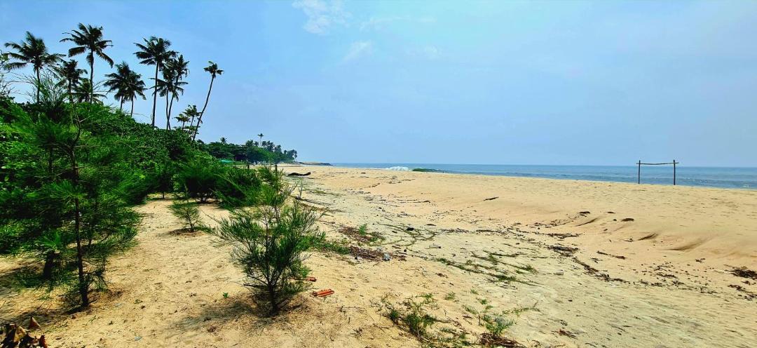 Photo of Others in Mararikulam