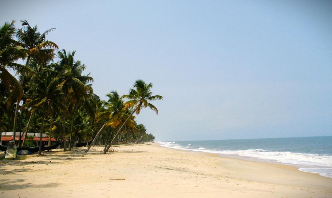 Photo of Others in Mararikulam