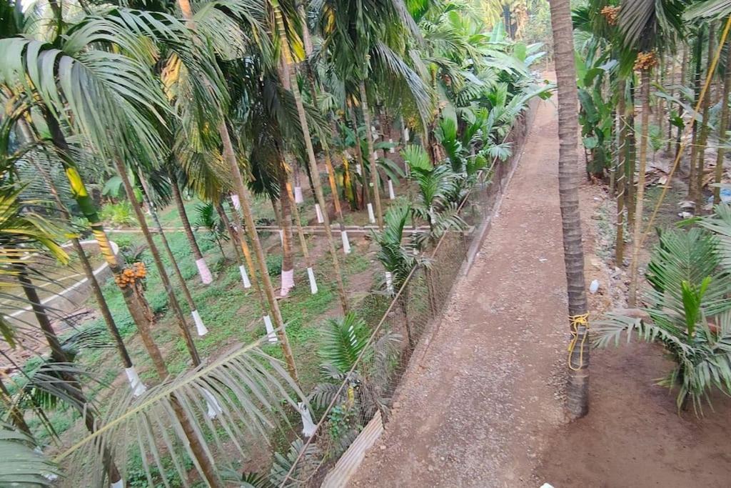 Photo of Others in Alibaug