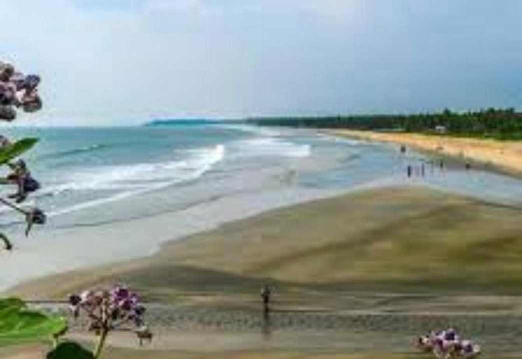 Photo of Others in Kannur