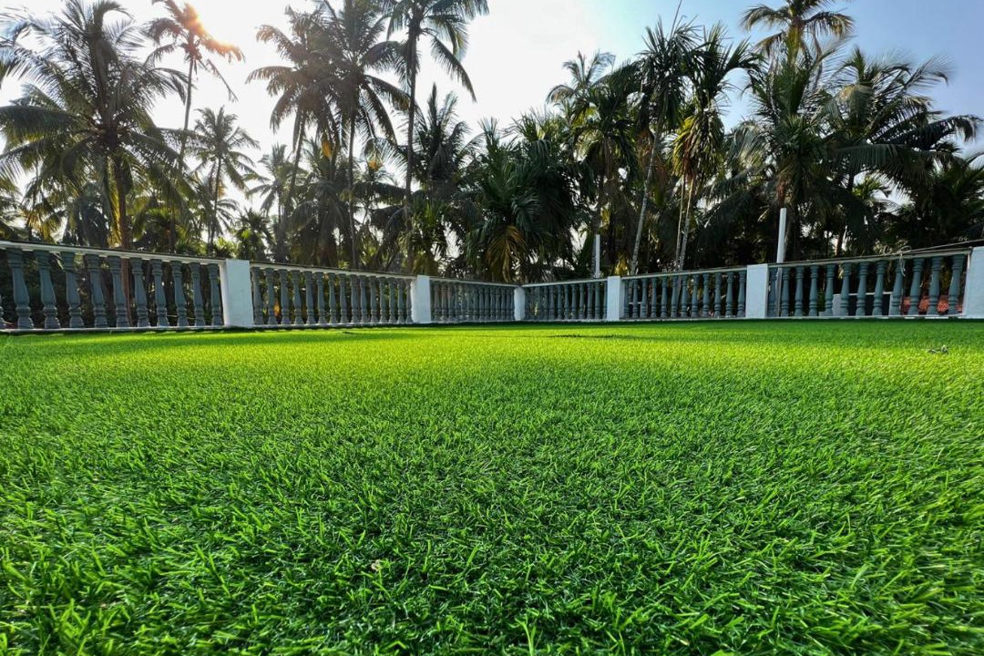 Photo of Buildings in Alibaug