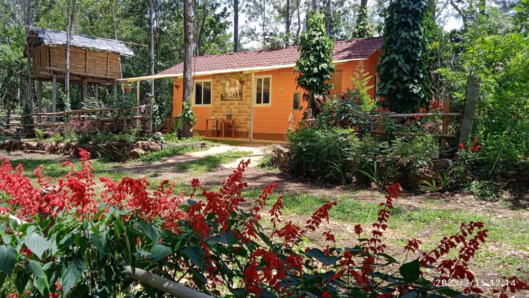 Photo of Others in Yercaud