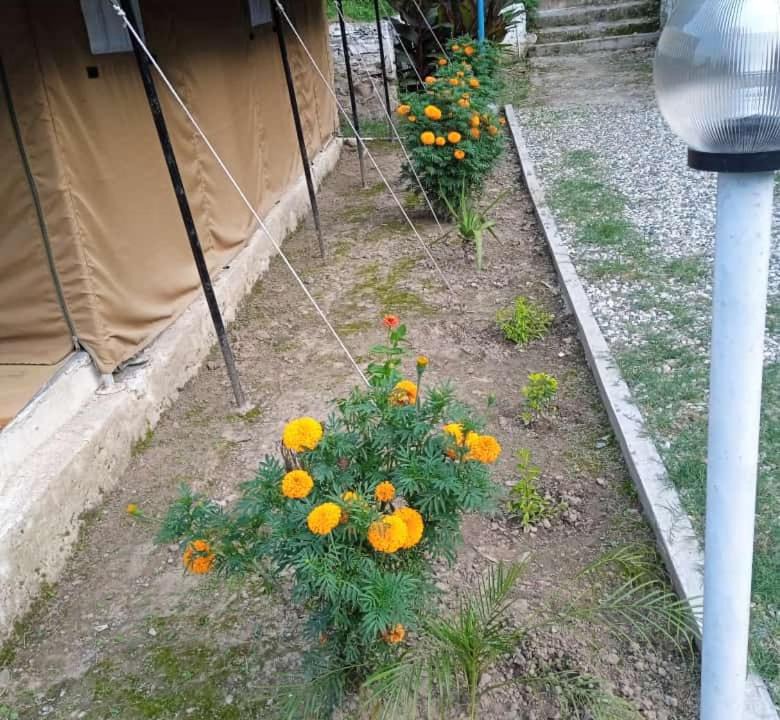 Photo of Others in Rajgarhi