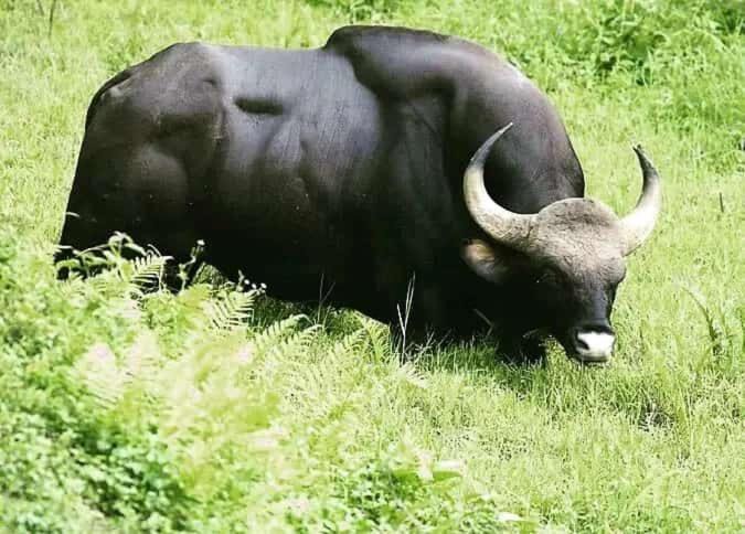 Photo of Others in Periyakulam