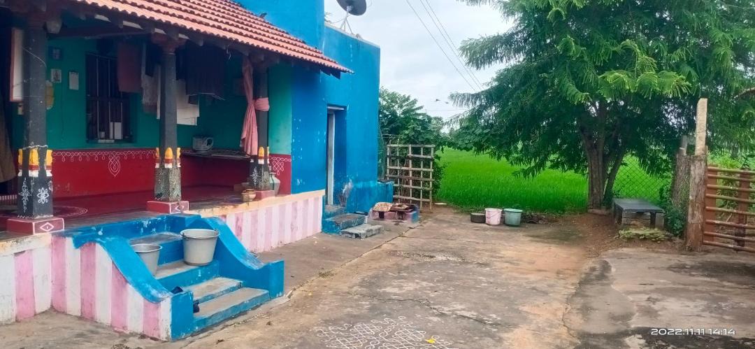 Photo of Others in Nattarasankottai