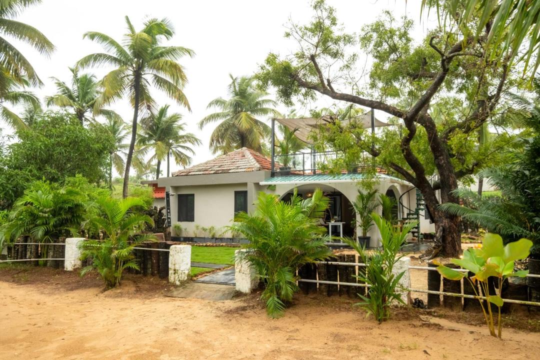 Photo of Others in Colva