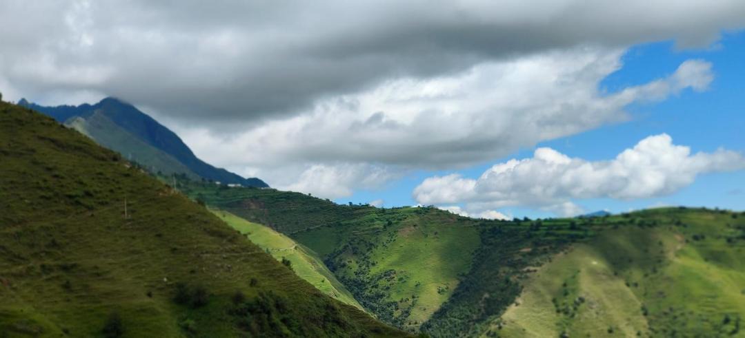 Photo of Others in Chakrata