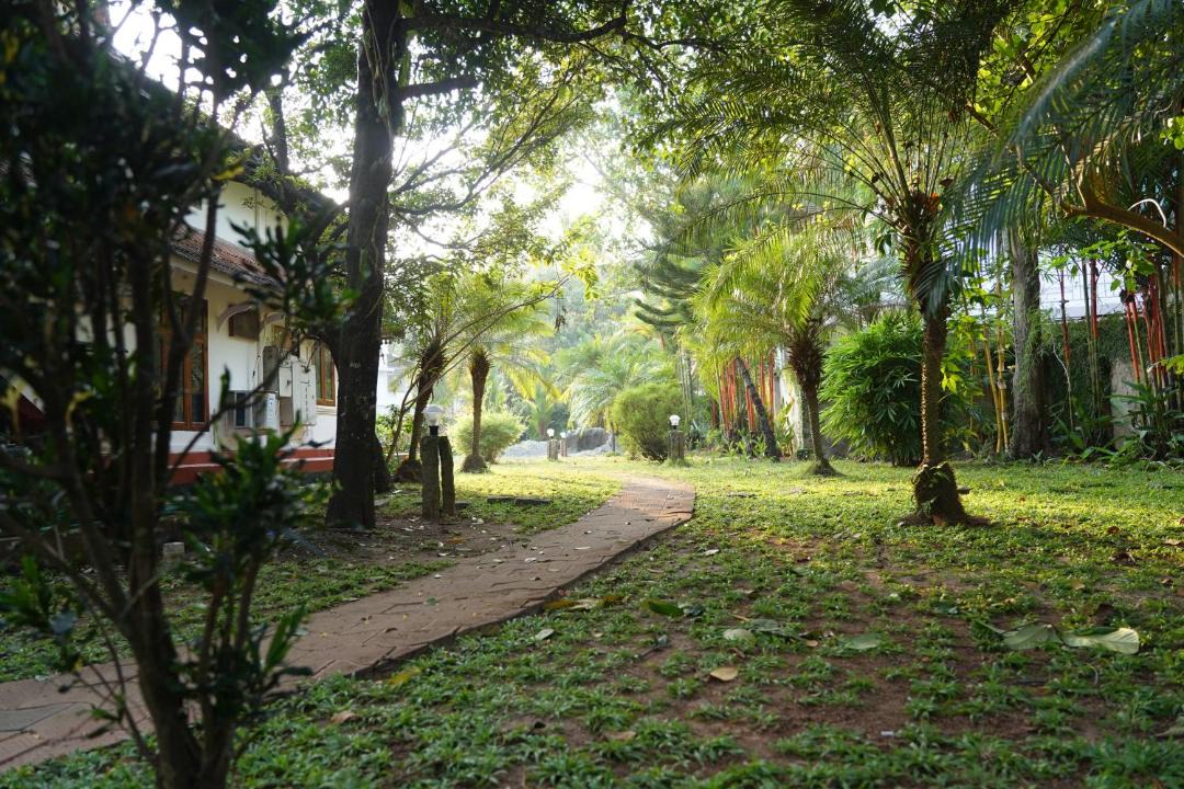 Photo of Others in Fort Kochi
