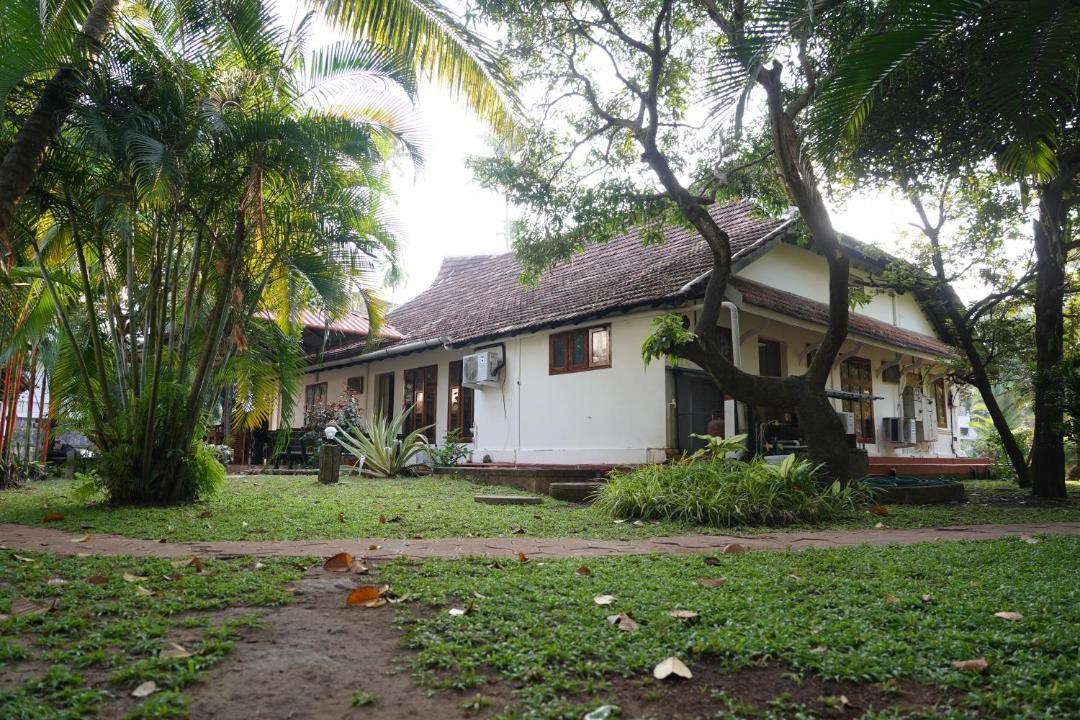 Photo of Others in Fort Kochi