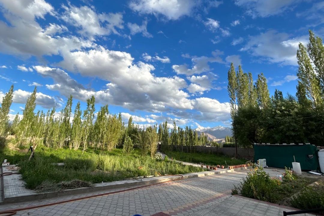 Photo of Others in Leh