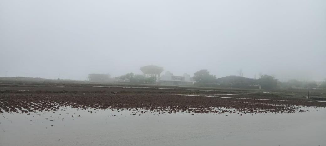 Photo of Others in Igatpuri