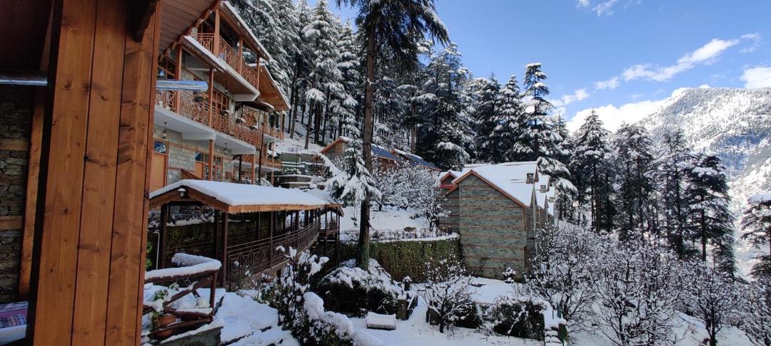 Photo of Others in Manali