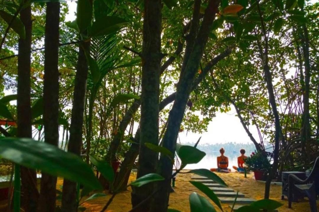 Photo of Others in Kuzhuppilly