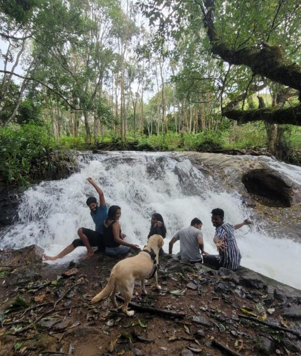 Photo of Others in Suryanelli