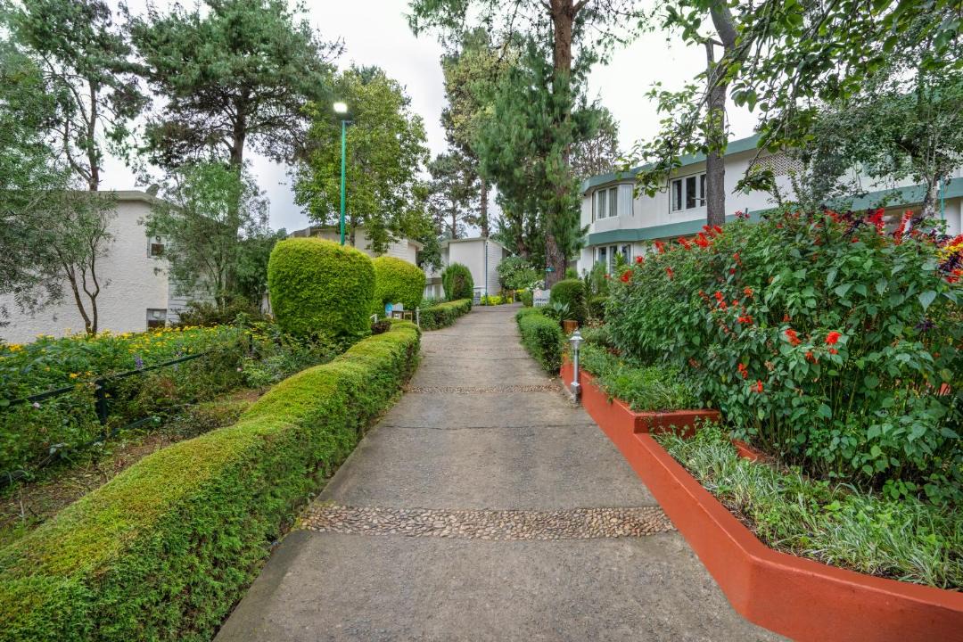 Photo of Others in Kodaikanal
