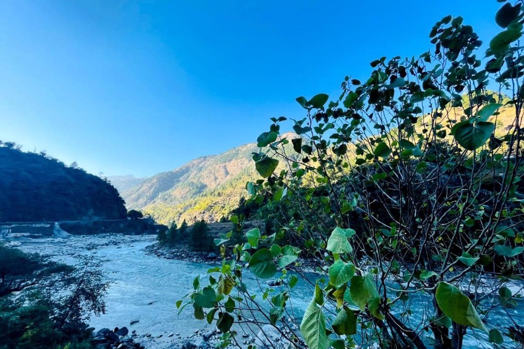 Photo of Others in Chamoli
