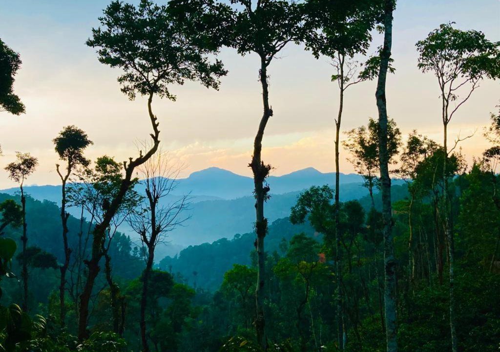 Photo of Outdoor in Somvarpet