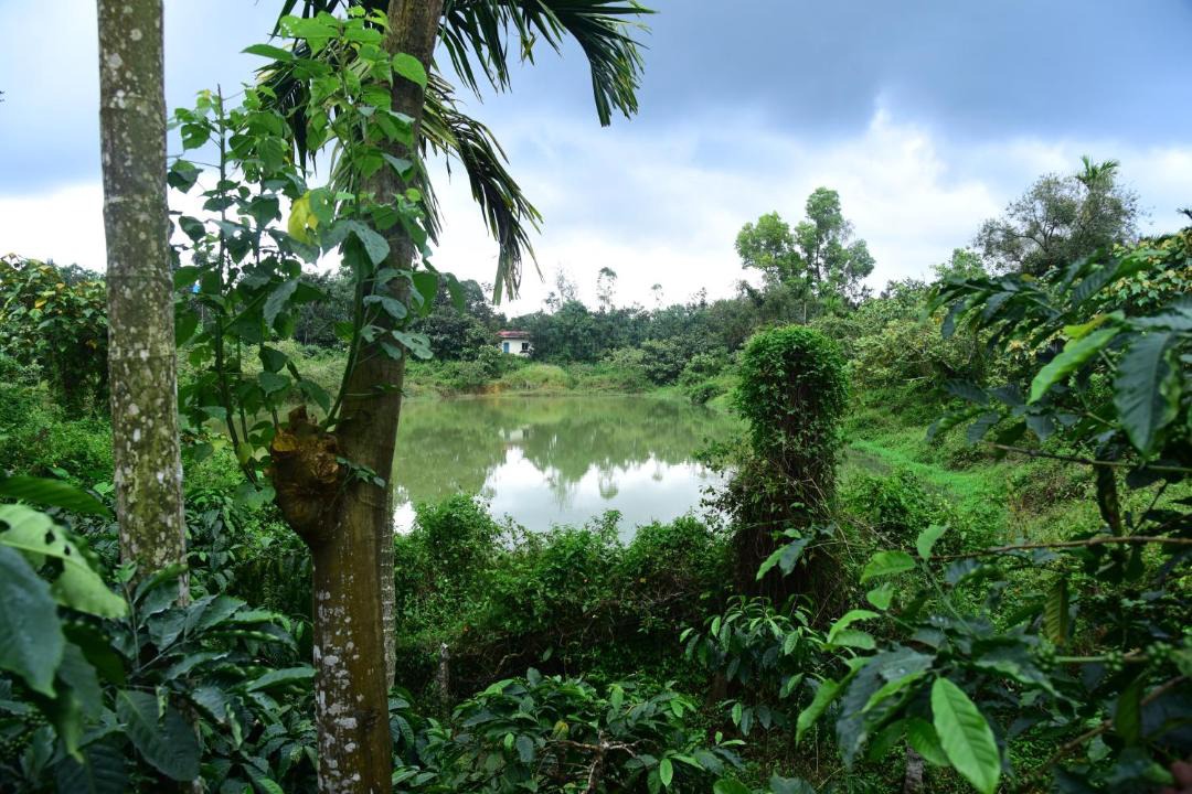 Photo of Others in Mudigere