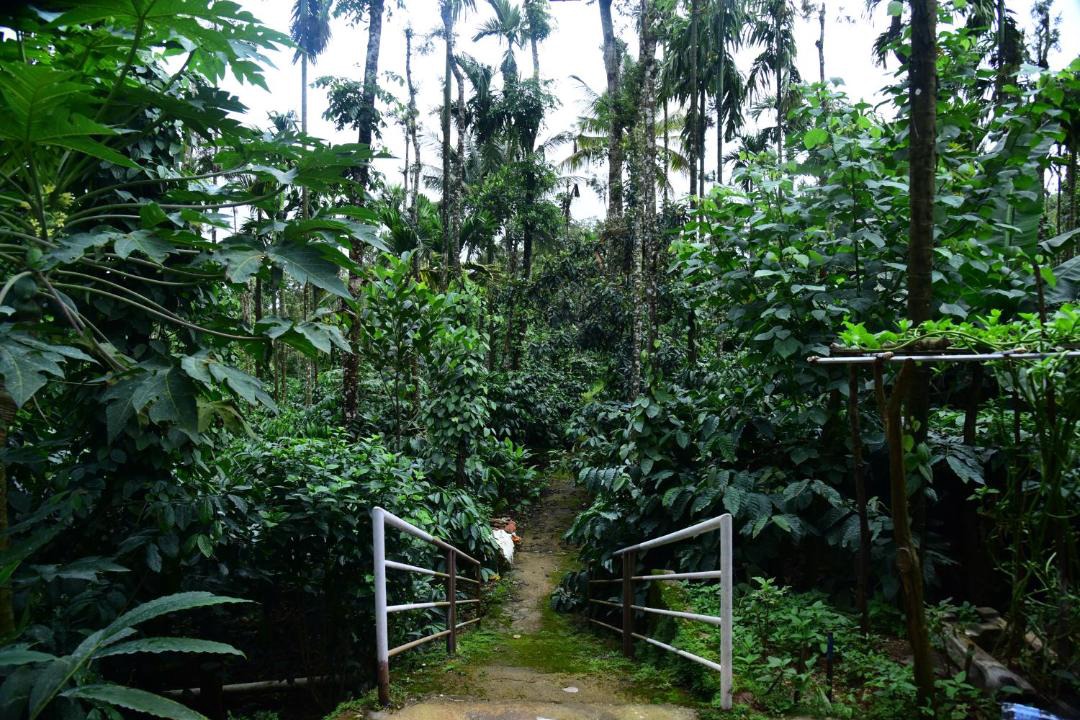 Photo of Others in Mudigere