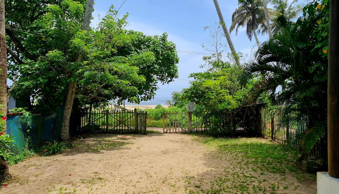 Photo of Others in Mararikulam