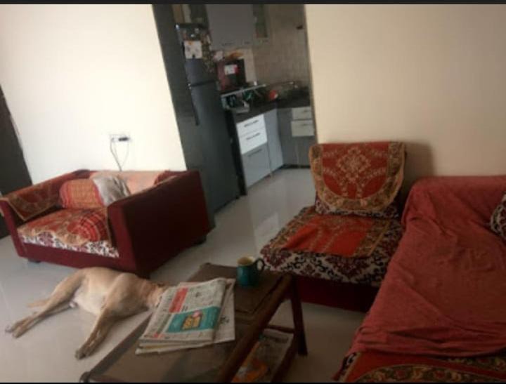 Photo of Others in Navi Mumbai