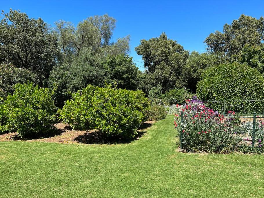 Photo of Others in Parkes