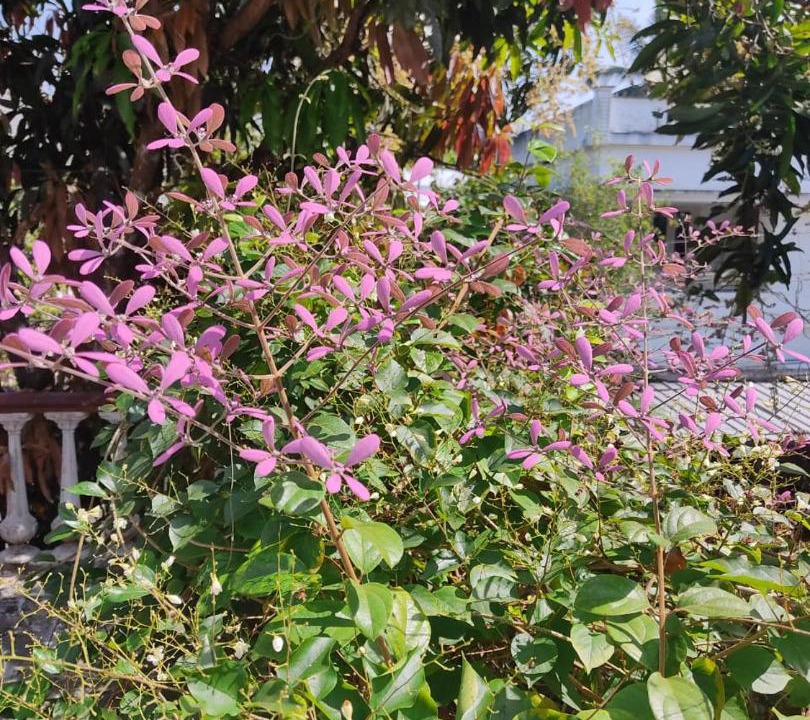 Photo of Others in Perumbavoor