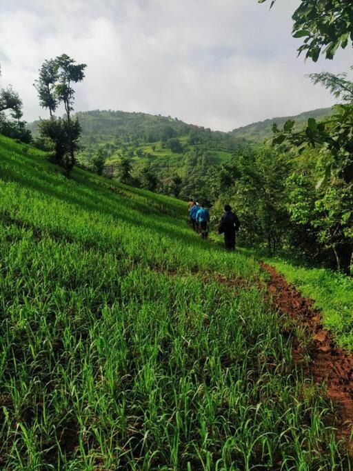 Photo of Others in Igatpuri
