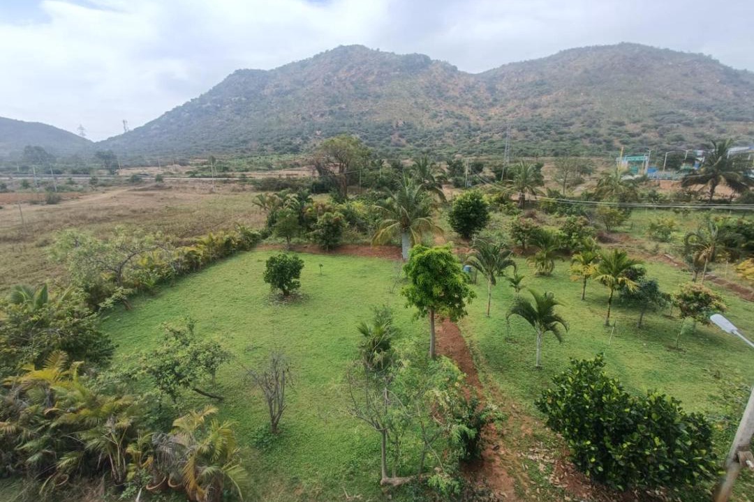 Photo of Others in Gauribidanur