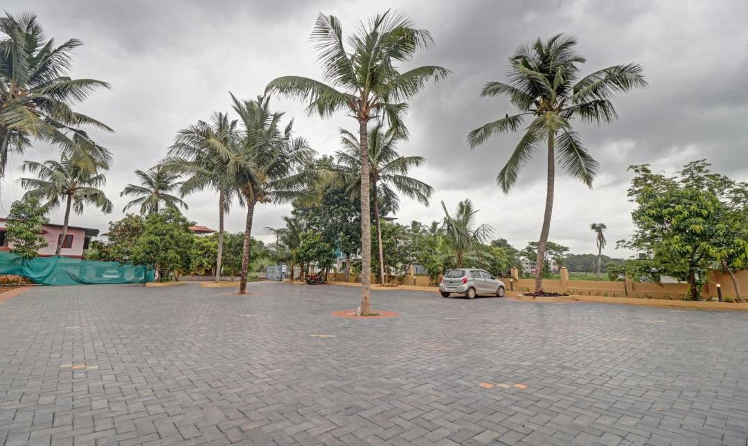 Photo of Others in Nedumbassery