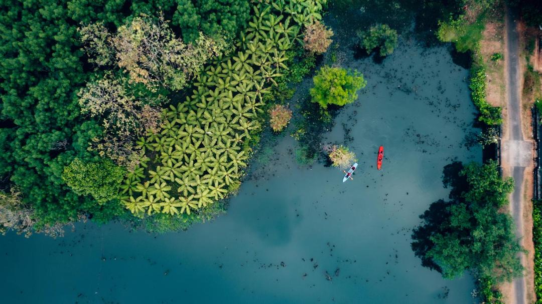 Photo of Others in Thattekkad