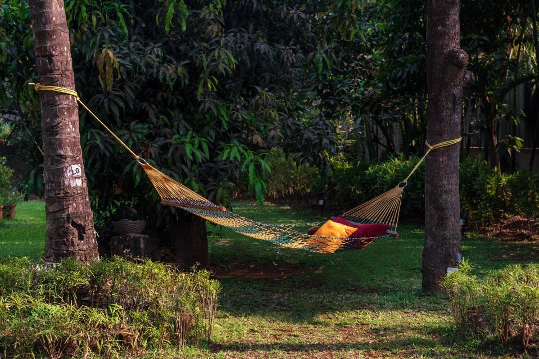 Photo of Others in Alibaug