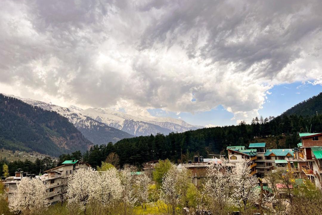 Photo of Others in Old Manali