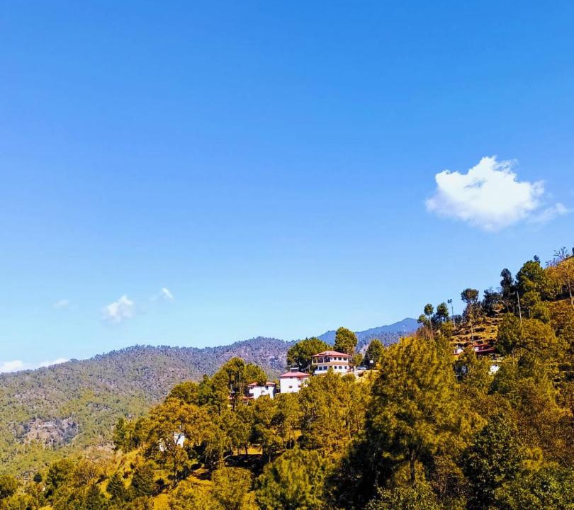 Photo of Others in Almora