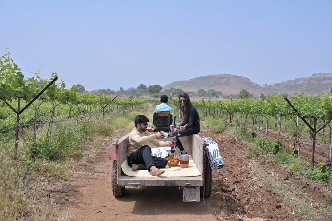 Photo of Others in Nashik