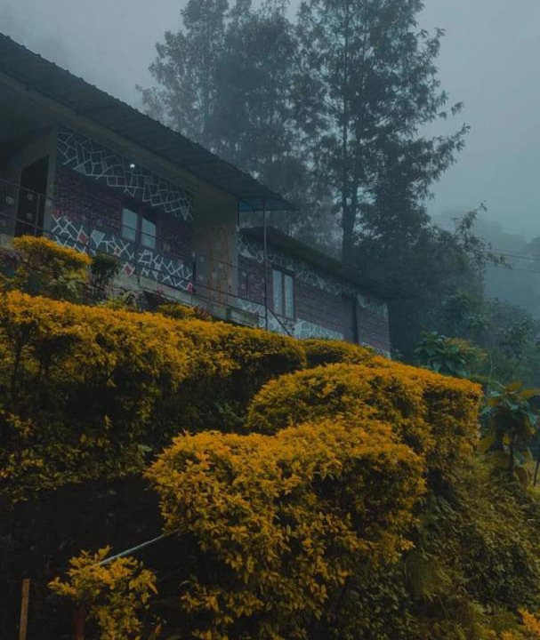 Photo of Outdoor in Kannan Devan Hills