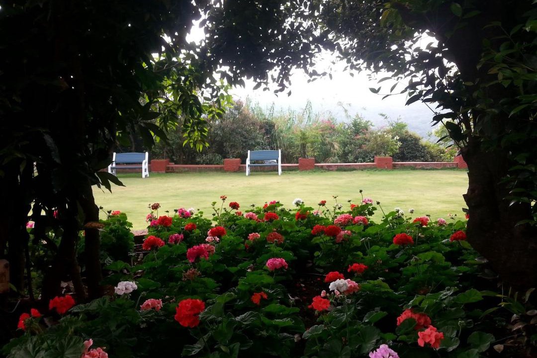 Photo of Others in Mahabaleshwar